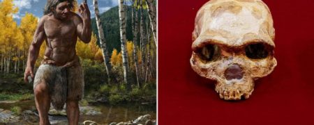 مرد اژدهایی؛ کشف جمجمه یک انسان اولیه در چین که متعلق به ۱۴۶,۰۰۰ سال پیش است