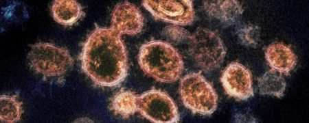 ۲۰ هزار سال قبل هم ویروس کرونا شیوع پیدا کرده بود