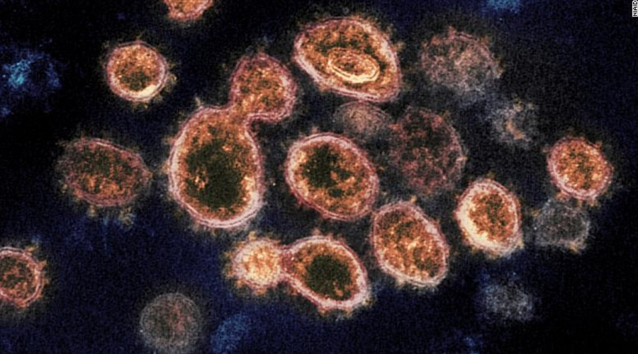 ۲۰ هزار سال قبل هم ویروس کرونا شیوع پیدا کرده بود