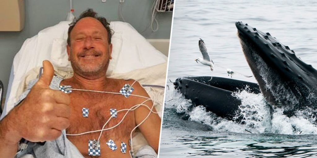 نجات معجزه آسای غواصی که یک نهنگ او را زنده زنده بلعیده بود
