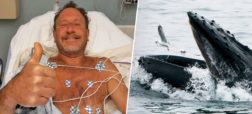 نجات معجزه آسای غواصی که یک نهنگ او را زنده زنده بلعیده بود