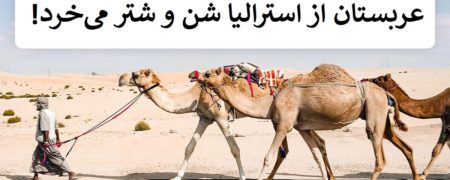 حقایقی خواندنی درباره دنیا که احتمالاً چیزی از آن ها نشنیده اید