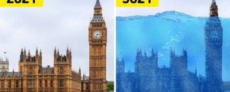 اگر انسان یک روز به خواب می رفت و هزار سال بعد بیدار می شد چه اتفاقی می افتاد؟