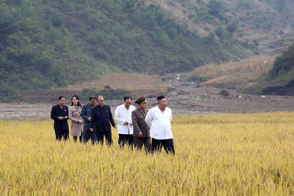 کمبود شدید مواد غذایی در کره شمالی و قیمت حدود ۵ پوندی یک عدد موز