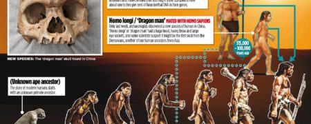 نقض نظریه تکامل داروین؛ آیا تصویر تغییر تدریجی از میمون به انسان دیگر علمی نیست؟