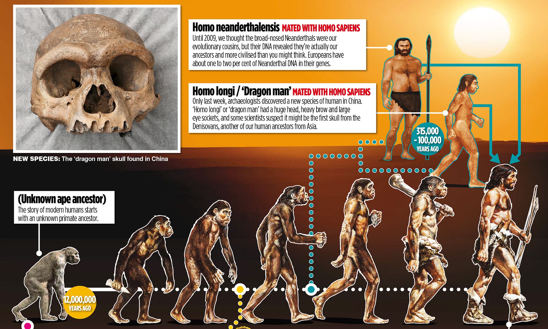 Our ancestors witnessed a progression from animal to steam power фото 90