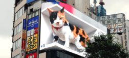 نمایش یک گربه متحرک سه بعدی بر روی بیلبوردی در توکیو + ویدئو