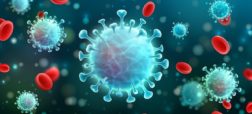 کرونای آفریقای جنوبی، یکی از خطرناک‌ترین ویروس‌های موجود را بشناسید