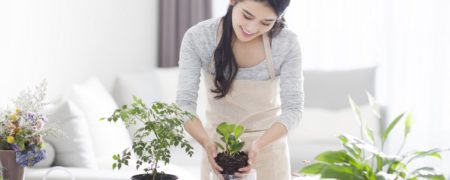 ۷ گیاه آپارتمانی با خواص دارویی را بشناسید