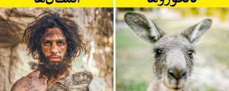 حیواناتی که نمی دانستید با هم خویشاوندند