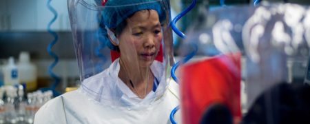 هشدار «زن خفاشی» چین درباره ویروس کرونا؛ جهش های مرگبارتری در راه است