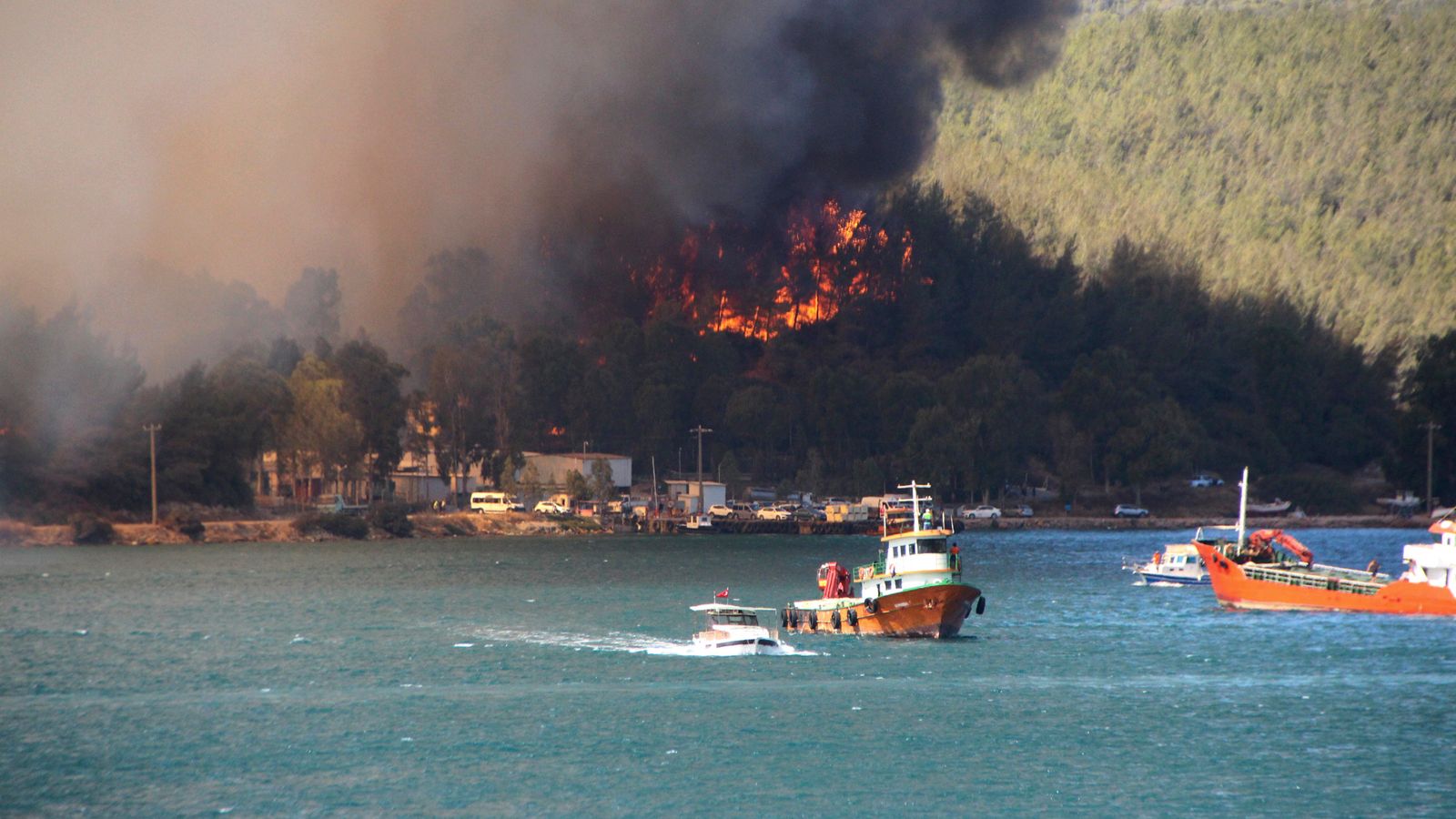 فرار گردشگران وحشت زده در مناطق جنوبی ترکیه و نجات ان ها با قایق پس از آتش سوزی گسترده در مناطق جنوبی این کشور