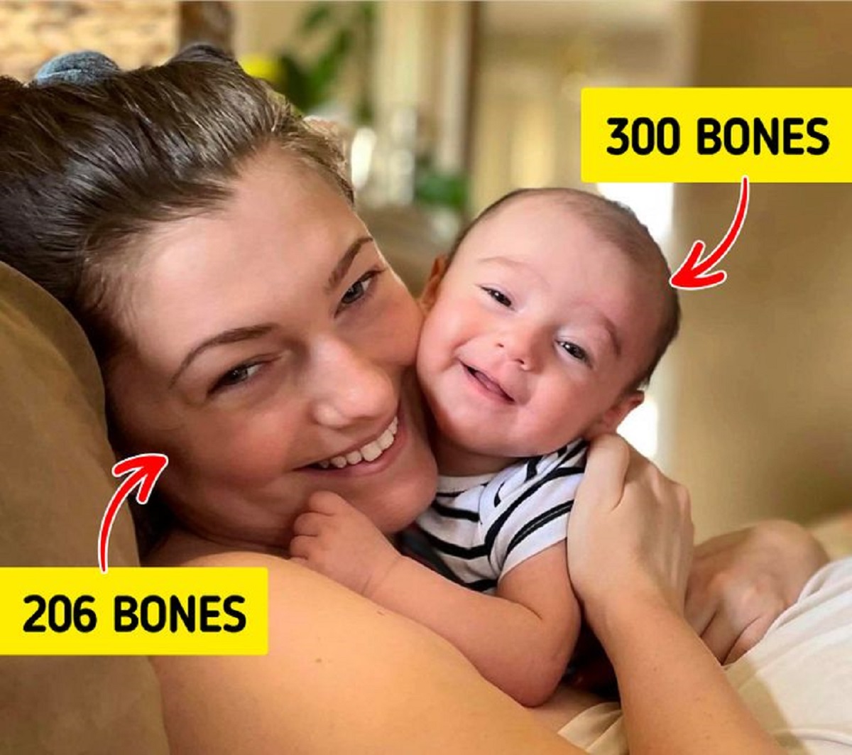 تعداد استخوان نوزاد