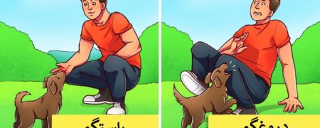 سگ ها می توانند دروغ را تشخیص دهند