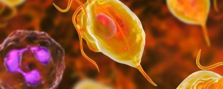 تریکومونیازیس ؛ یک بیماری جنسی دردناک و مسری، از خانم‌ها به آقایان!