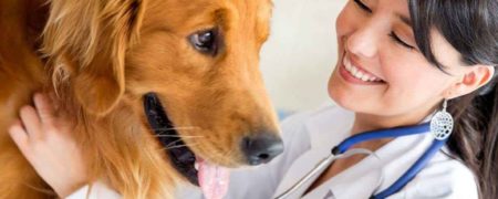 پیام تبریک روز دامپزشکی ؛ ۱۴ مهرماه