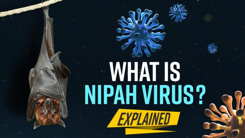 ویروس نیپا و هر آنچه باید در مورد ابتلا به آن بدانید