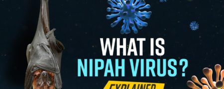 ویروس نیپا و هر آنچه باید در مورد ابتلا به آن بدانید