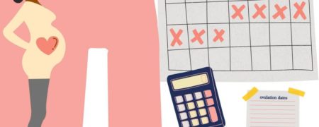 زمان تخمک گذاری زنان چه وقت است؟ و چگونه برای لقاح و بارداری برنامه‌ریزی کنید؟