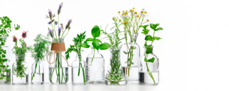 بهترین داروهای گیاهی را بشناسید