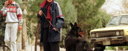 طرح نمایندگان مجلس برای ممنوعیت نگهداری و خرید و فروش «حیوانات خانگی خطرناک»