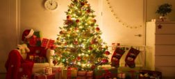 گشتی در تزیین درخت کریسمس توسط سلبریتی‌ها در سال نو میلادی