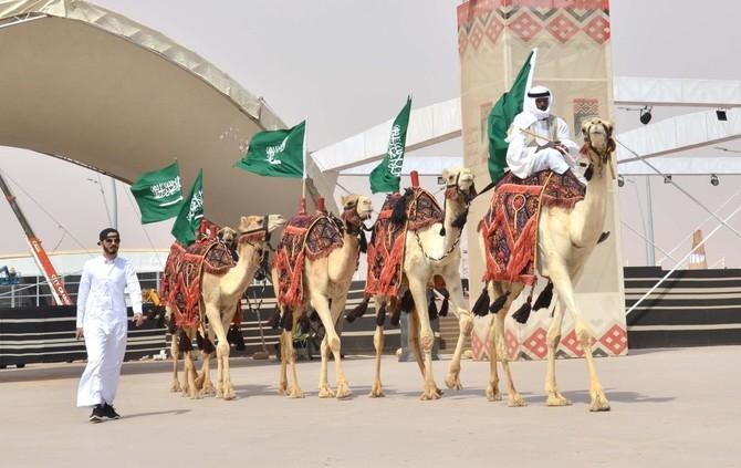 در یک مسابقه محبوب زیبایی شترها در عربستان سعودی، بیش از 43 شتر به خاطر تزریق بوتاکس و دیگر انواع تقلب، از دور مسابقات حذف شده اند.