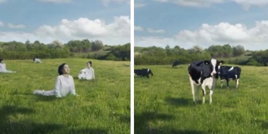 عذرخواهی شرکت لبنیات کُره ای به خاطر تشبیه زنان به گاو شیرده در یک تبلیغ