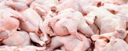 وجود انگل توکسو پلاسما در گوشت مرغ صحت دارد؟ پاسخ سازمان دامپزشکی به ابهامات