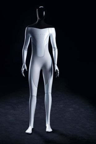 ایلان ماسک مدعی شده که ربات های انسان نمای او با نام تسلا بات می توانند شخصیت های منحصربفردی داشته و حتی با انسان ها دوست شوند.