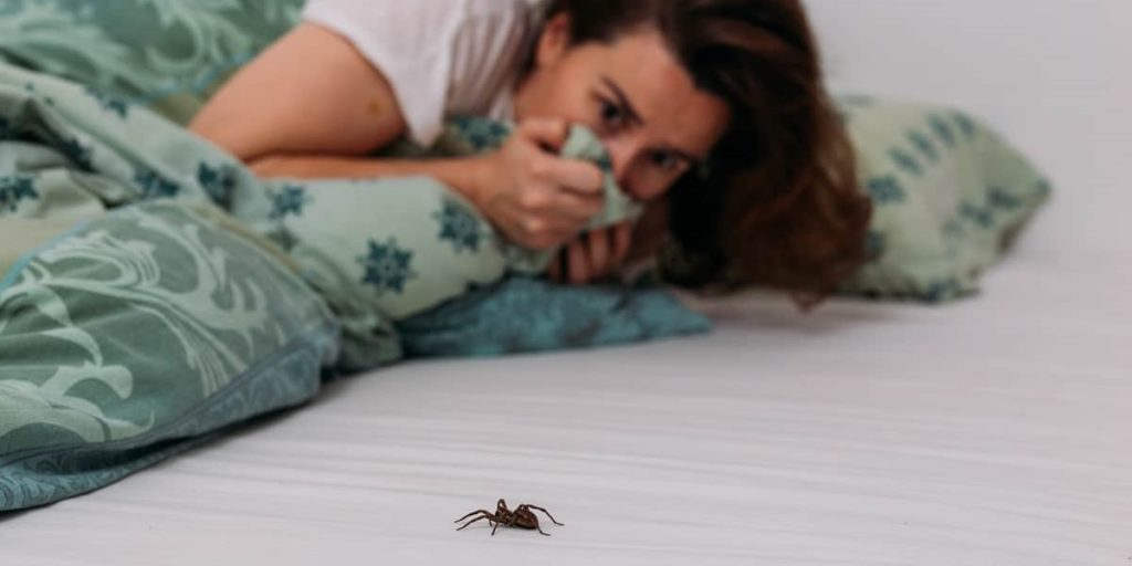 این نشانه ها می گوید خانه شما لانه حشرات شده