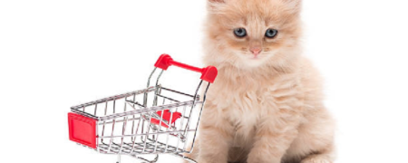 خرید غذای سگ و گربه از منزل