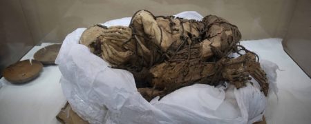 کشف ۶ کودک مومیایی شده در پرو که برای همراهی مردی نجیب‌زاده قربانی شده بودند