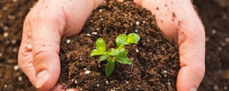 خاک چگونه تشکیل می‌ شود؟