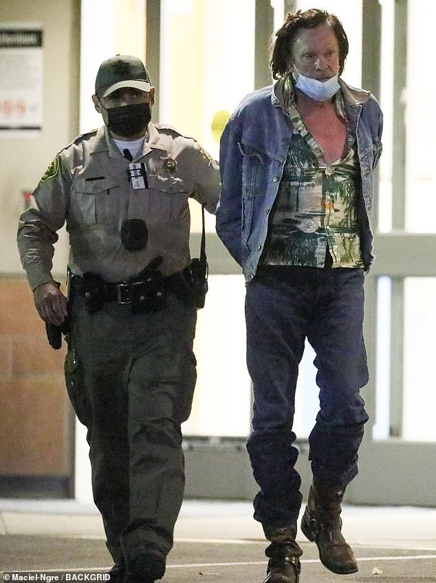 دستگیری مایکل مدسن، بازیگر هالیوودی به خاطر ورود بدون اجازه به ملک