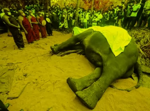 راجا مقدس ترین فیلم سریلانکا درگذشت