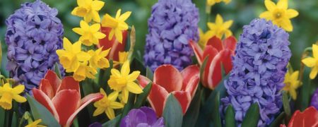 آشنایی با زیباترین آداب و رسوم ایرانیان برای ورود به سال جدید