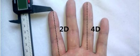 آیا اندازه انگشت می تواند معیار مناسبی برای تعیین طول آلت تناسلی مردان باشد؟