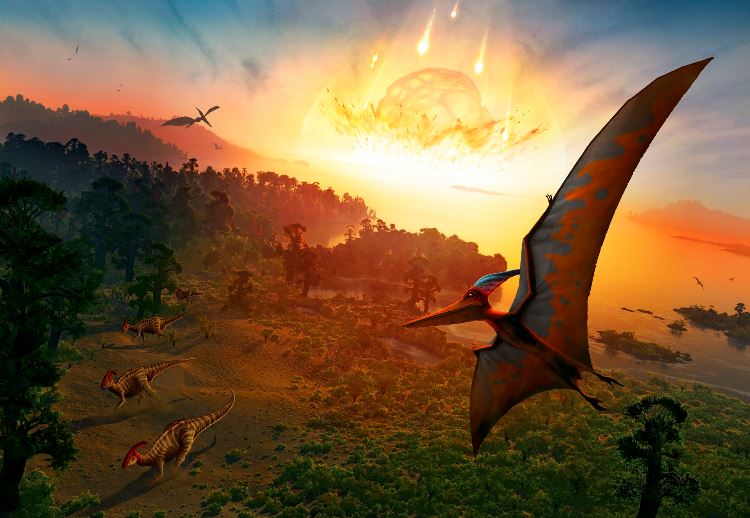 دایناسورها در چه فصلی از سال منقرض شده اند؟ دانشمندان پاسخ می دهند