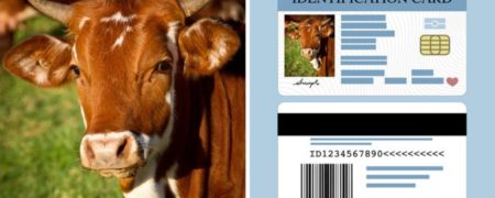 ۱۴ حقیقت شگفت انگیز درباره کشور منحصر به فرد هند