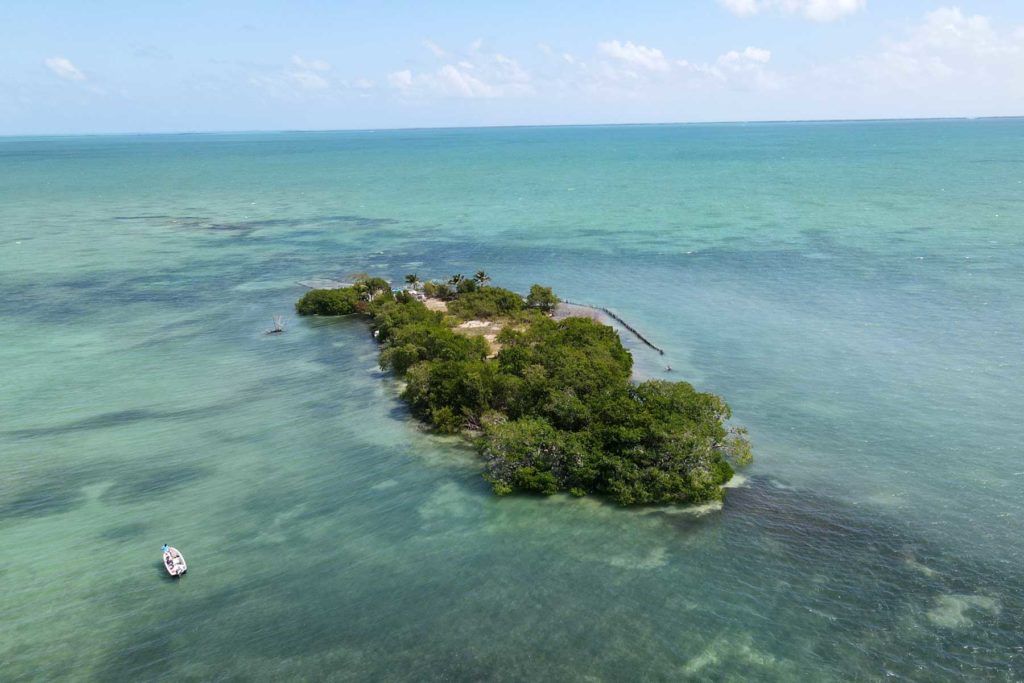 تاسیس یک کشور جدید با خرید جزیره ای کوچک در نزدیکی برزیل