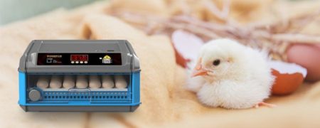 چگونه بیشترین راندمان را از دستگاه جوجه کشی بگیریم ؟