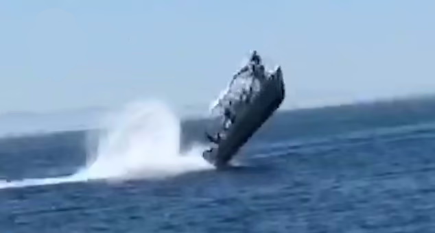 پنج مجروح در حادثه برخورد نهنگ عظیم الجثه به قایق توریست ها + ویدیو