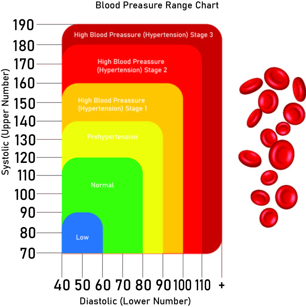 نمودار فشار خون؛ ۱۲ نشانه کلیدی بالا یا پایین بودن فشار خون