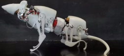 موش رباتیک خارق العاده ای که قابلیت حمل بار و کمک های امدادی دارد + ویدیو