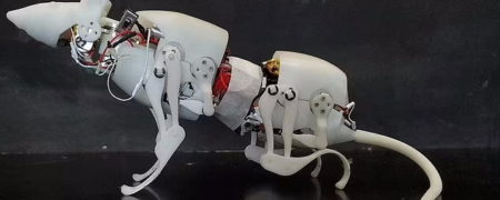 موش رباتیک خارق العاده ای که قابلیت حمل بار و کمک های امدادی دارد + ویدیو