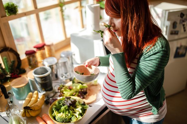 توصیه یک متخصص باروری: زنان گیاهخوار برای باردار شدن باید گوشت بخورند