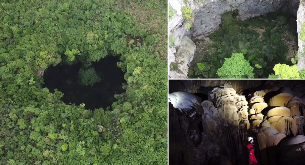 جنگلی باستانی در عمق ۱۹۰ متریِ یک فروچاله در چین کشف شد