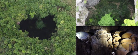 جنگلی باستانی در عمق ۱۹۰ متریِ یک فروچاله در چین کشف شد