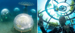 اولین باغ زیر دریا در ایتالیا
